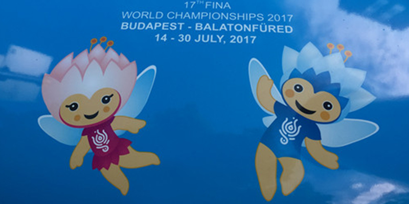 熱烈慶祝綠蛙看臺成為FINA國際游泳聯合會2017布達佩斯世界游泳錦標賽看臺供應商