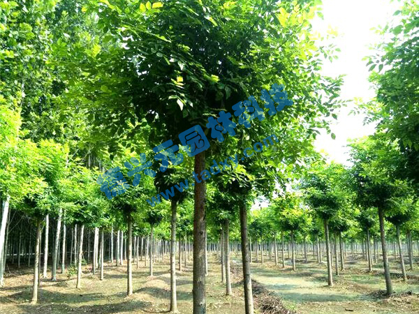 �c���鿴Ԕ����Ϣ���}����Ϟ ��x�Δ���2315