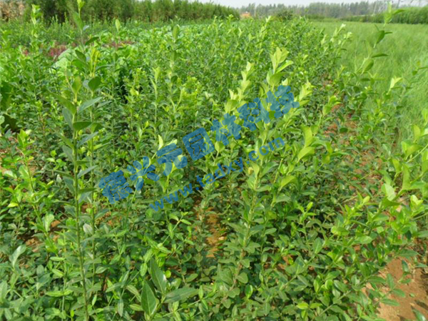 �c���鿴Ԕ����Ϣ���}�����~������ ��x�Δ���2671