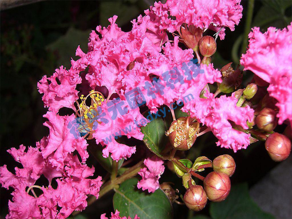 �c���鿴Ԕ����Ϣ���}����ޱ ��x�Δ���1765